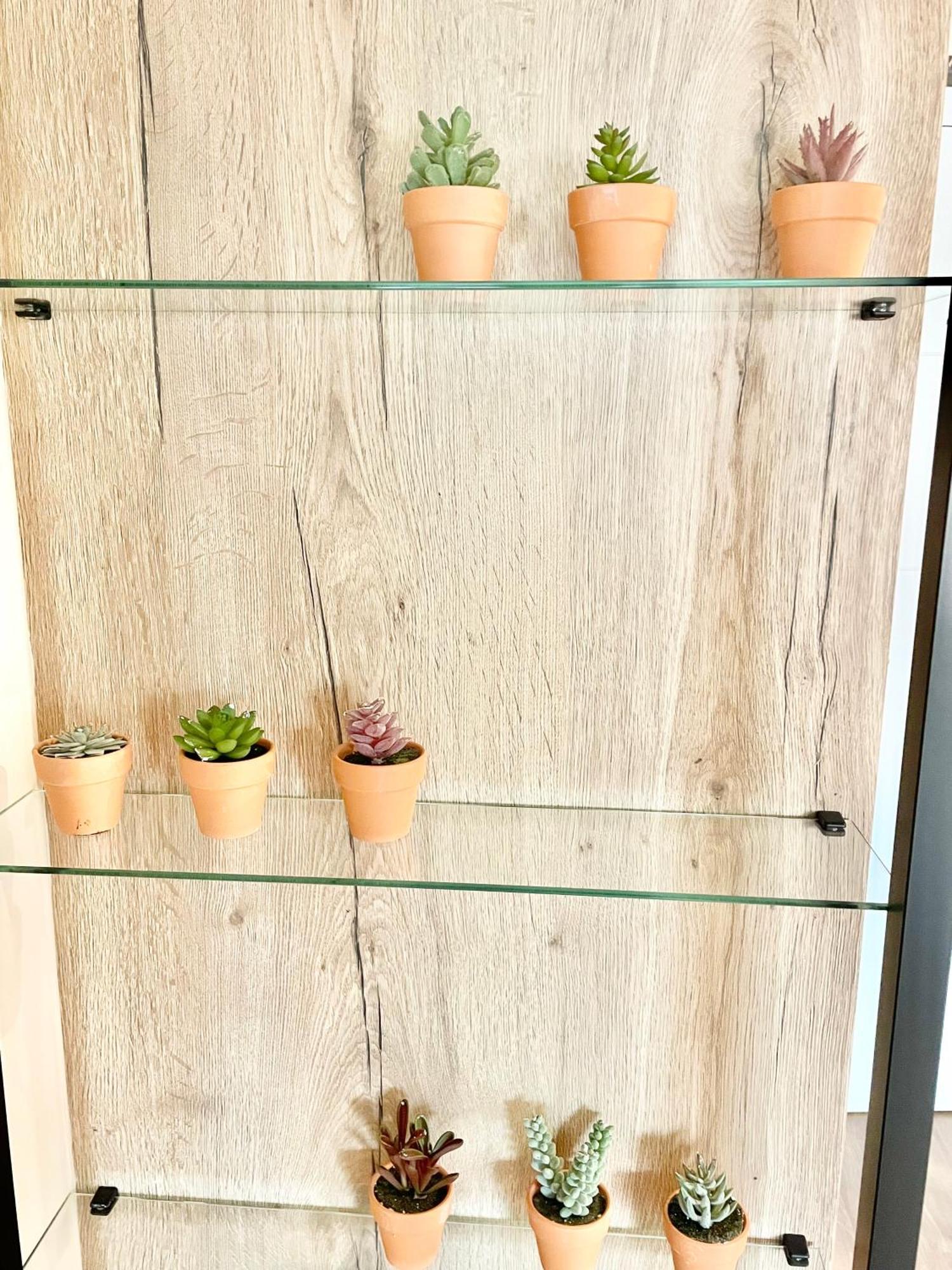 El Carbayonin Apartamento Oviedo